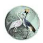 Irish Society Uganda